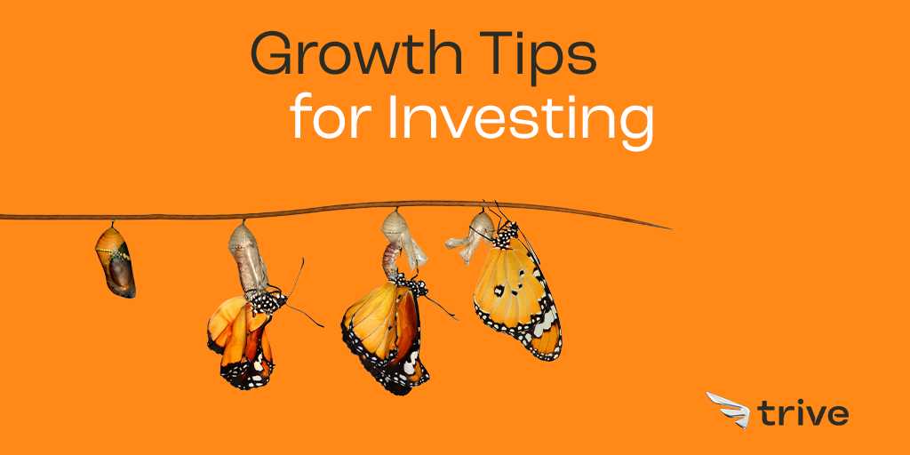 Lesen Sie mehr über den Artikel Growth Tips for Investing